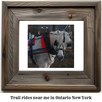 trail rides near me in Ontario, New York